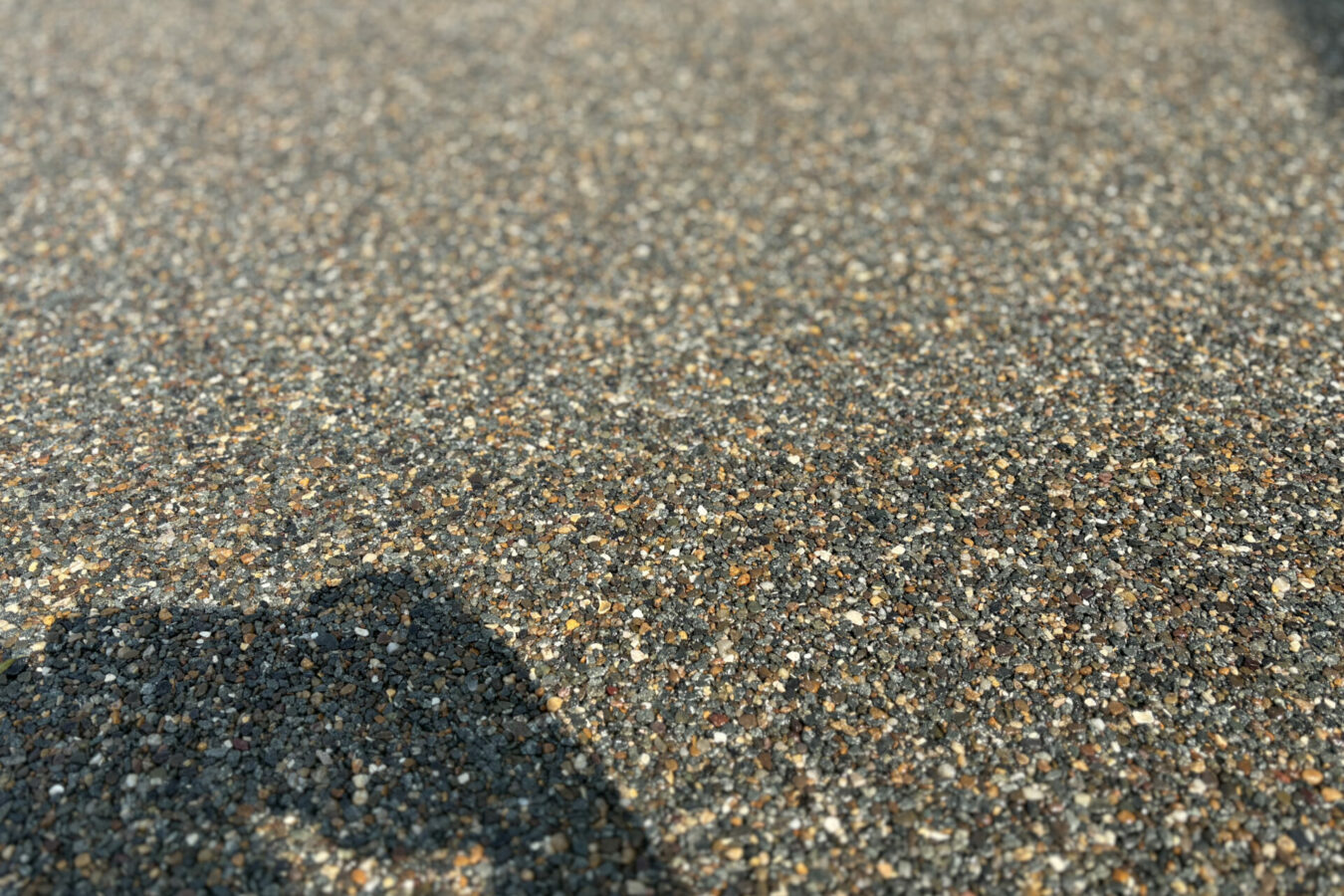 IMG_1773